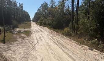 Lot 10 16th Ave, Bell, FL 32619