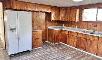 824 E Maumee, Adrian, MI 49221