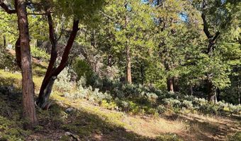 1984 Pine Cone Dr, Arnold, CA 95223
