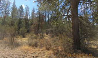 Tiger Lane lot 2, Bonanza, OR 97623