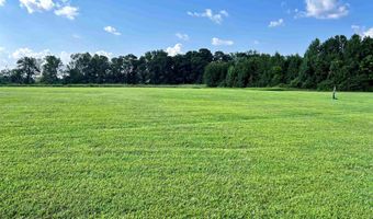 0 BAILEY Rd, Baileyton, AL 35019