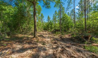 43 5 +/- A Old River Rd, Baker, FL 32531