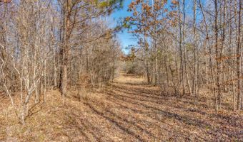 8007 Holly Grove Meeks Rd, Cruger, MS 38924
