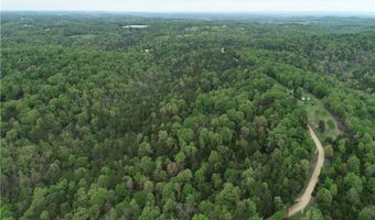 Twin Fork DR, Bergman, AR 72615