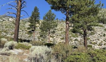 Kingsbury Grade, Gardnerville, NV 89460