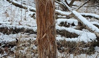 4775 S 50th Rd, Aldrich, MO 65601