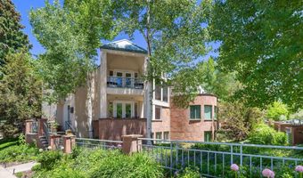 120 S Spring St 1, Aspen, CO 81611