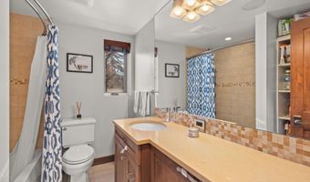 910 W Hallam St 11, Aspen, CO 81611