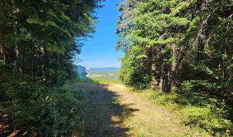 810 Rosebrook Hill Rd 4B, Brighton, VT 05846