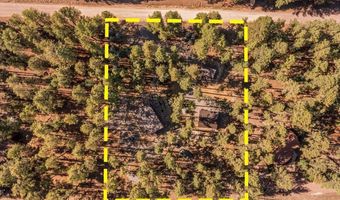 24 County Rd 2267, Alpine, AZ 85920