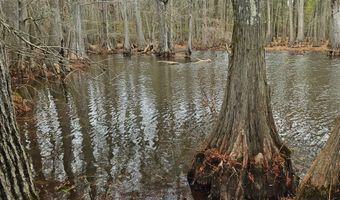 001 CR 532, Avalon, MS 38917