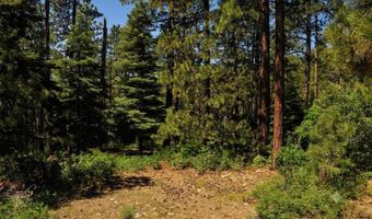 176 Big Timber Dr, Bayfield, CO 81122