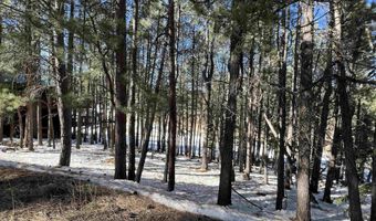 Lot 15 Champions Terrace, Angel Fire, NM 87710