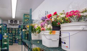 703 E WESTERN Ave, Avondale, AZ 85323