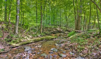 7125 Bolestown Rd, Alpine, TN 38543