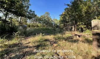 10 Acres CR 9204, Alpena, AR 72611