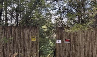 239 Sundale Rd, Accord, NY 12404