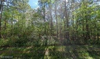 01 Laurel St, Bay St. Louis, MS 39520