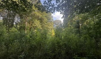 137 Shorter Rd, Braxton, MS 39044