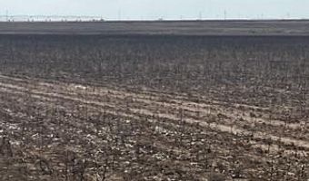 Farm To Market Rd 54, Abernathy, TX 79311