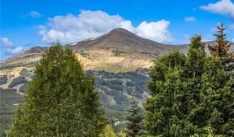 300 E WASHINGTON Ave, Breckenridge, CO 80424