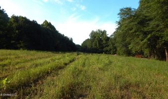590 247 Country Rd, Bruce, MS 38915