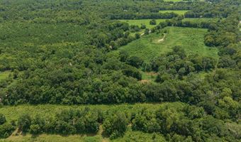 11660 Gamm Rd, Belcher, LA 71004