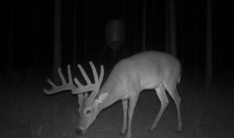 00 Pleasant Grove Church Road B, Albany, GA 31707