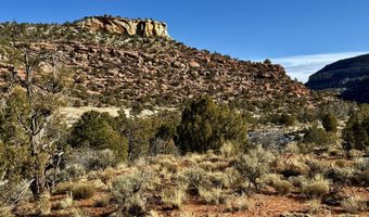 TBD X4 Road, Bedrock, CO 81411