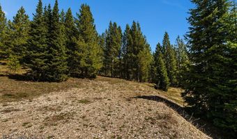 Washakie Road, Big Sky, MT 59716