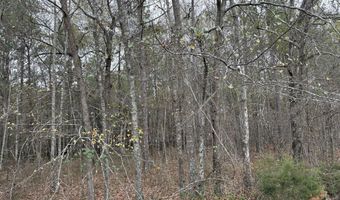 Parkview Dr, Amory, MS 38821