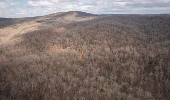 760 County Road 203, Annapolis, MO 63620