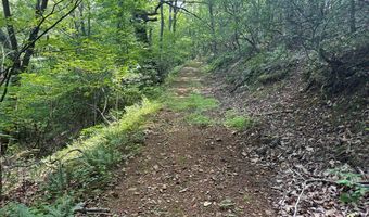 281 Scotts Branch Rd, Amherst, VA 24521