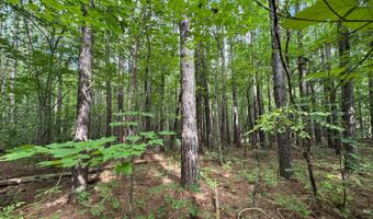 0 Holiday Lake Rd, Appomattox, VA 24522