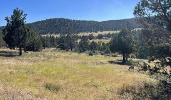 639 Pheasant Dr, Alturas, CA 96101
