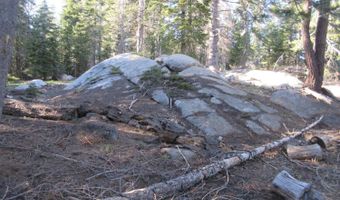 175 Silver Tip Dr, Bear Valley, CA 95223