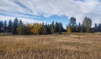 445 TARGHEE TOWNE Rd, Alta, WY 83414