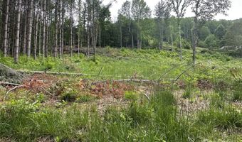 Pumpkin Patch Road, Bakersville, NC 28705