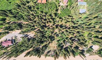 553 NUTHATCH Dr, Alma, CO 80440