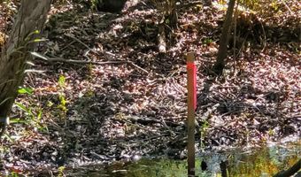 2221 NW PINE VIEW Rd, Arcadia, FL 34266