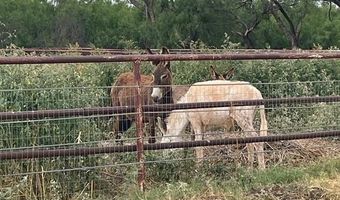 542 S 25th St, Abilene, TX 79602