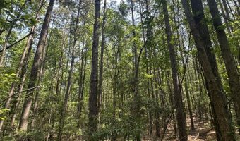 Ridge Road lot E, Appling, GA 30802