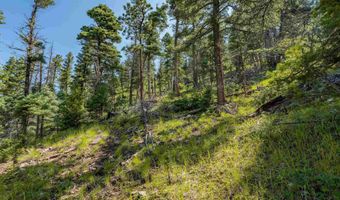 Vail Loop lot 400, Angel Fire, NM 87710