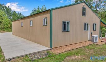 1228 Matt Morrow Rd, Arab, AL 35016