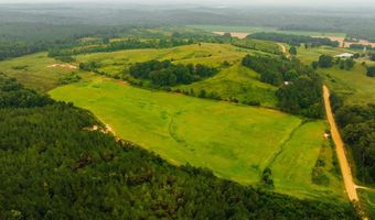 1037 Cr 300, Big Creek, MS 38914
