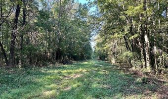 Williams Street, Brookhaven, MS 39601