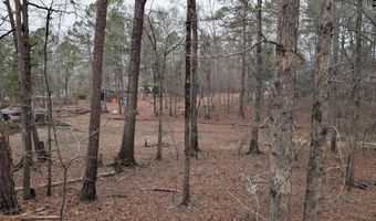 Lots B & C Miller Road, Camden, SC 29020