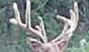 240 Magnolia Ln, Bennington, OK 74723