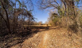 TBD CR 4650, De Kalb, TX 75559