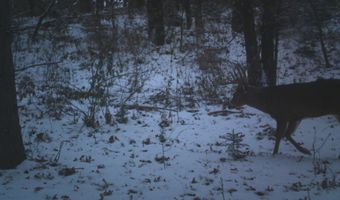 8752 HWY A, Almond, WI 54909